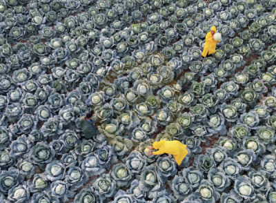 14. TARIM ORMAN VE İNSAN FOTOĞRAF YARIŞMASI - Fatih YILMAZ