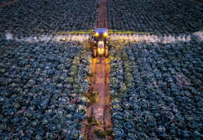14. TARIM ORMAN VE İNSAN FOTOĞRAF YARIŞMASI - Fatih YILMAZ