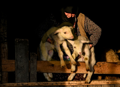 14. TARIM ORMAN VE İNSAN FOTOĞRAF YARIŞMASI - Mahmut Serdar ALAKUŞ