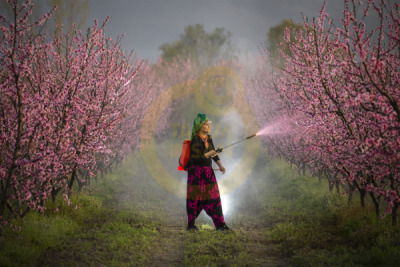 14. TARIM ORMAN VE İNSAN FOTOĞRAF YARIŞMASI - Şevki KARACA