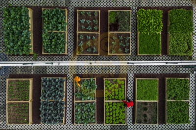 14. TARIM ORMAN VE İNSAN FOTOĞRAF YARIŞMASI - Volkan KARAGÜLLEOĞLU