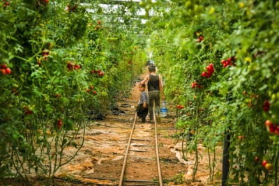 14. TARIM ORMAN VE İNSAN FOTOĞRAF YARIŞMASI - Abdurrahman ALTINTAŞ
