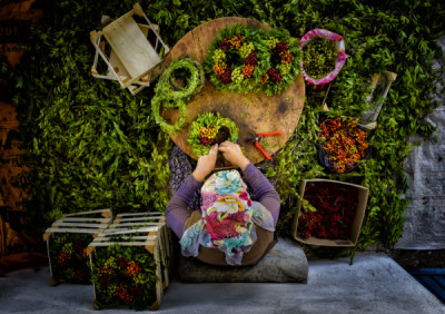 14. TARIM ORMAN VE İNSAN FOTOĞRAF YARIŞMASI - Ali ASLAN