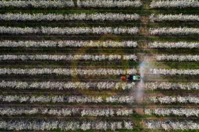 14. TARIM ORMAN VE İNSAN FOTOĞRAF YARIŞMASI - Arzu İBRANOĞLU