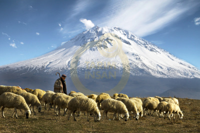 14. TARIM ORMAN VE İNSAN FOTOĞRAF YARIŞMASI - Emel Gülseren USLU