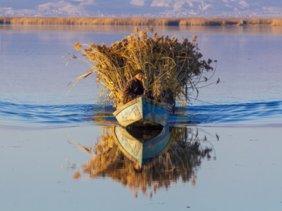 14. TARIM ORMAN VE İNSAN FOTOĞRAF YARIŞMASI - Emrullah AKGÜN