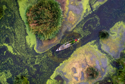 14. TARIM ORMAN VE İNSAN FOTOĞRAF YARIŞMASI - Esengül ALICI