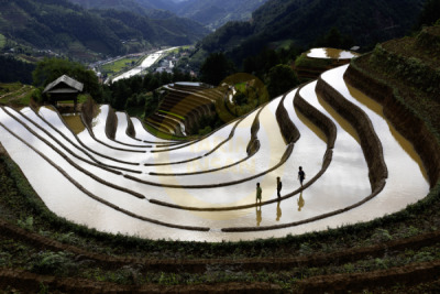 14. TARIM ORMAN VE İNSAN FOTOĞRAF YARIŞMASI - Gülhiz ARSLAN ÖZTÜRK
