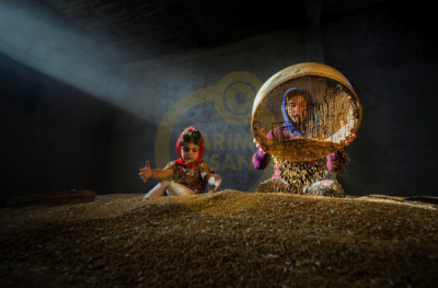 14. TARIM ORMAN VE İNSAN FOTOĞRAF YARIŞMASI - Hasan GÜZEL