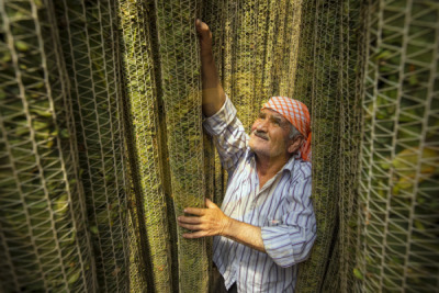 14. TARIM ORMAN VE İNSAN FOTOĞRAF YARIŞMASI - Hasan GÜZEL
