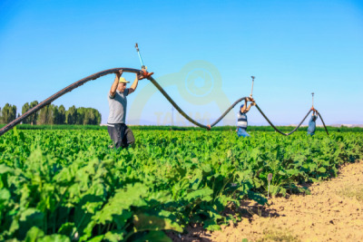 14. TARIM ORMAN VE İNSAN FOTOĞRAF YARIŞMASI - Enes Yasin BAY