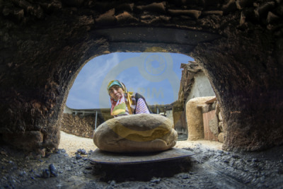 14. TARIM ORMAN VE İNSAN FOTOĞRAF YARIŞMASI - İsmail ÖDÜM