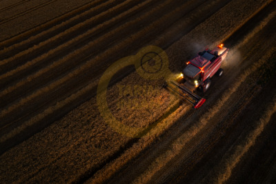 14. TARIM ORMAN VE İNSAN FOTOĞRAF YARIŞMASI - İsmail Serhat ŞAHİN