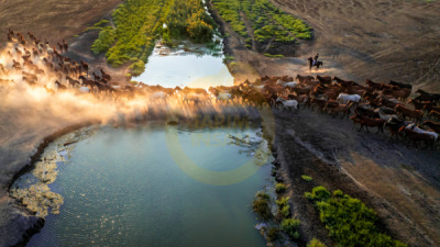 14. TARIM ORMAN VE İNSAN FOTOĞRAF YARIŞMASI - Kahraman BEKCİLİ