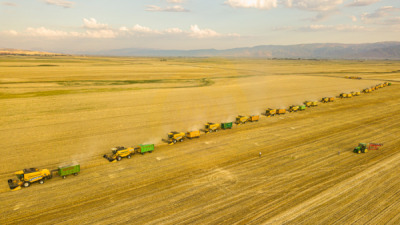 14. TARIM ORMAN VE İNSAN FOTOĞRAF YARIŞMASI - Mehmet Can ALKAŞ