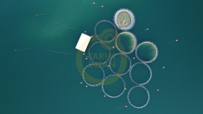 14. TARIM ORMAN VE İNSAN FOTOĞRAF YARIŞMASI - Mehmet Veysi ŞİMŞEK