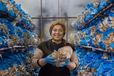 14. TARIM ORMAN VE İNSAN FOTOĞRAF YARIŞMASI - Muhammet ÖZEN