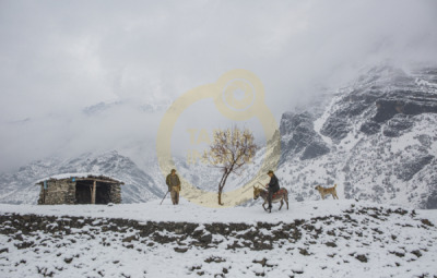 14. TARIM ORMAN VE İNSAN FOTOĞRAF YARIŞMASI - Musa TALAŞLI