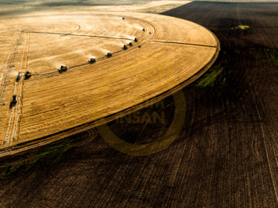 14. TARIM ORMAN VE İNSAN FOTOĞRAF YARIŞMASI - Mustafa ÇİFTÇİ