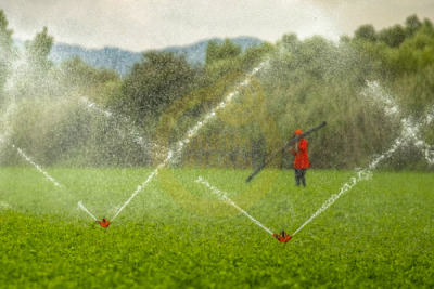 14. TARIM ORMAN VE İNSAN FOTOĞRAF YARIŞMASI - Mürsel TAHTACI