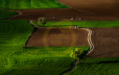 14. TARIM ORMAN VE İNSAN FOTOĞRAF YARIŞMASI - Niyazi GÜRGEN