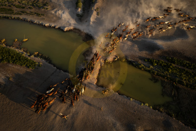 14. TARIM ORMAN VE İNSAN FOTOĞRAF YARIŞMASI - Nuriye ULUSOY