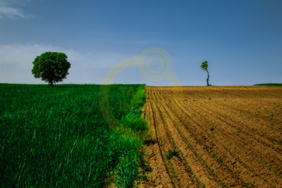 14. TARIM ORMAN VE İNSAN FOTOĞRAF YARIŞMASI - Özgür ŞAHİN