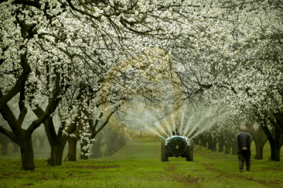 14. TARIM ORMAN VE İNSAN FOTOĞRAF YARIŞMASI - Ramiz AKAR