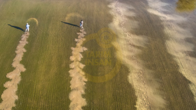 14. TARIM ORMAN VE İNSAN FOTOĞRAF YARIŞMASI - Saadet Banu NAZİKCAN