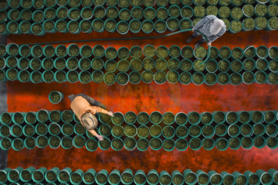 14. TARIM ORMAN VE İNSAN FOTOĞRAF YARIŞMASI - Said NURİ