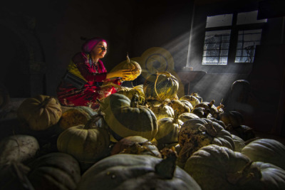 14. TARIM ORMAN VE İNSAN FOTOĞRAF YARIŞMASI - Selçuk KAHYAOĞLU