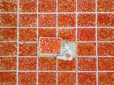 14. TARIM ORMAN VE İNSAN FOTOĞRAF YARIŞMASI - Yahya ENGİN