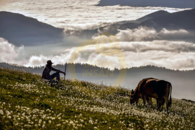 14. TARIM ORMAN VE İNSAN FOTOĞRAF YARIŞMASI - Yüksel YAVUZ