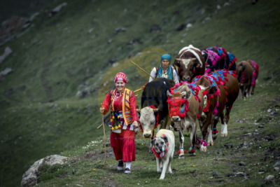14. TARIM ORMAN VE İNSAN FOTOĞRAF YARIŞMASI - Yüksel YAVUZ