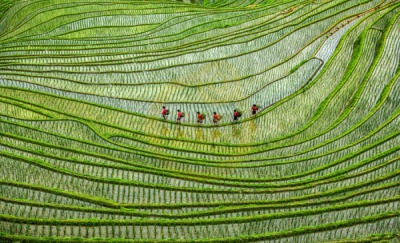 14. TARIM ORMAN VE İNSAN FOTOĞRAF YARIŞMASI - Aizhen Jiang