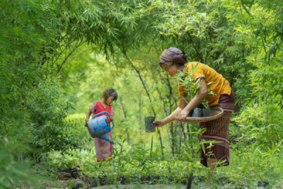 14. TARIM ORMAN VE İNSAN FOTOĞRAF YARIŞMASI - Aung Kyaw ZAW