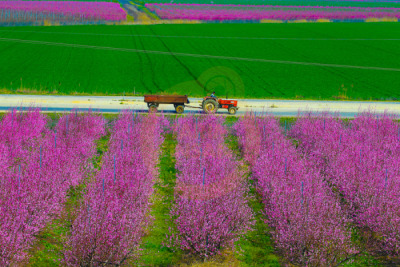 14. TARIM ORMAN VE İNSAN FOTOĞRAF YARIŞMASI - Cem GENCO