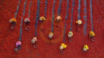 14. TARIM ORMAN VE İNSAN FOTOĞRAF YARIŞMASI - Debanjan DAS