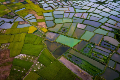14. TARIM ORMAN VE İNSAN FOTOĞRAF YARIŞMASI - Huichao MENG