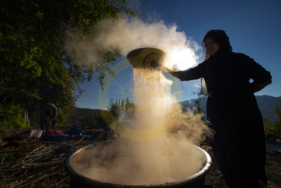14. TARIM ORMAN VE İNSAN FOTOĞRAF YARIŞMASI - İskan ALTIN