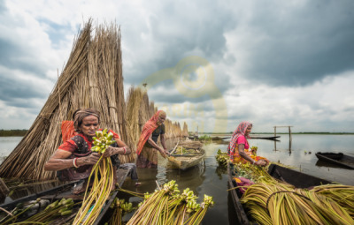 14. TARIM ORMAN VE İNSAN FOTOĞRAF YARIŞMASI - Joydeep Kumar DEB