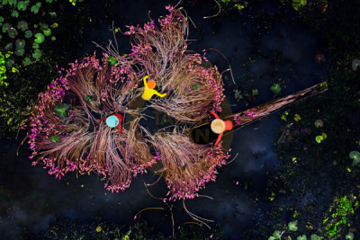 14. TARIM ORMAN VE İNSAN FOTOĞRAF YARIŞMASI - Kishore DAS