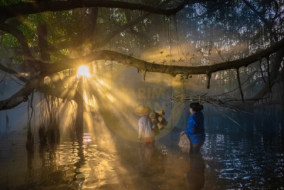 14. TARIM ORMAN VE İNSAN FOTOĞRAF YARIŞMASI - Kyaw Kyaw WİNN