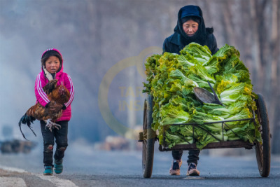 14. TARIM ORMAN VE İNSAN FOTOĞRAF YARIŞMASI - Limin YANG