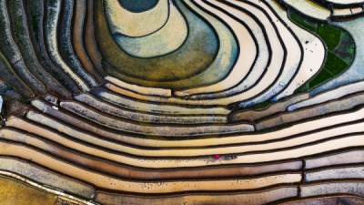 14. TARIM ORMAN VE İNSAN FOTOĞRAF YARIŞMASI - Phuoc Nguyen VU