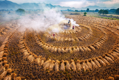 14. TARIM ORMAN VE İNSAN FOTOĞRAF YARIŞMASI - Pyae Phyo THET PAİNG