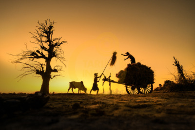 14. TARIM ORMAN VE İNSAN FOTOĞRAF YARIŞMASI - Si Thu YE MYİNT