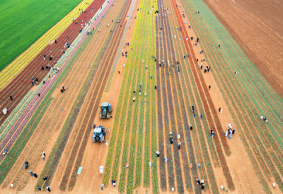 14. TARIM ORMAN VE İNSAN FOTOĞRAF YARIŞMASI - Ahmet ASLAN 