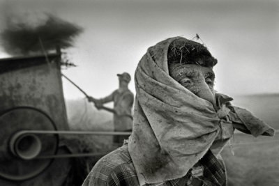 2. TARIM VE İNSAN FOTOĞRAF YARIŞMASI - A. Fatih SÖNMEZ