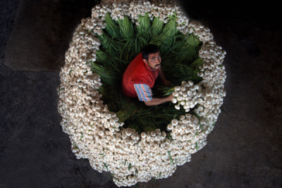 2. TARIM VE İNSAN FOTOĞRAF YARIŞMASI - Mehmet KORU